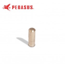 PEGASUS - PEGASUS 1J300100000 İĞNE MİLİ BURCU M800